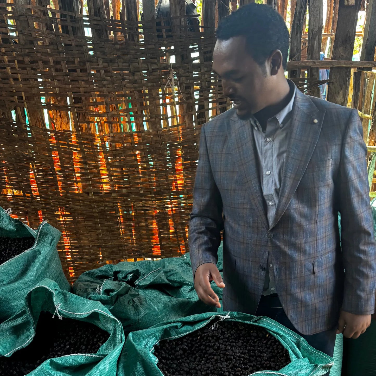 Mann vor Kaffeekirschen in grünen Säcken.