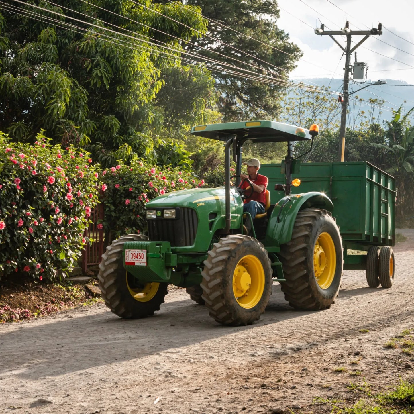 Costa Rica (Carrizal) NEU