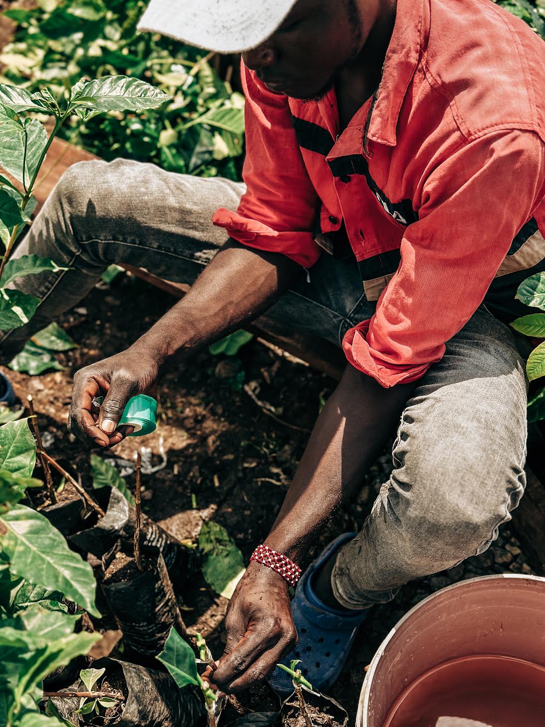 Kenia Espresso