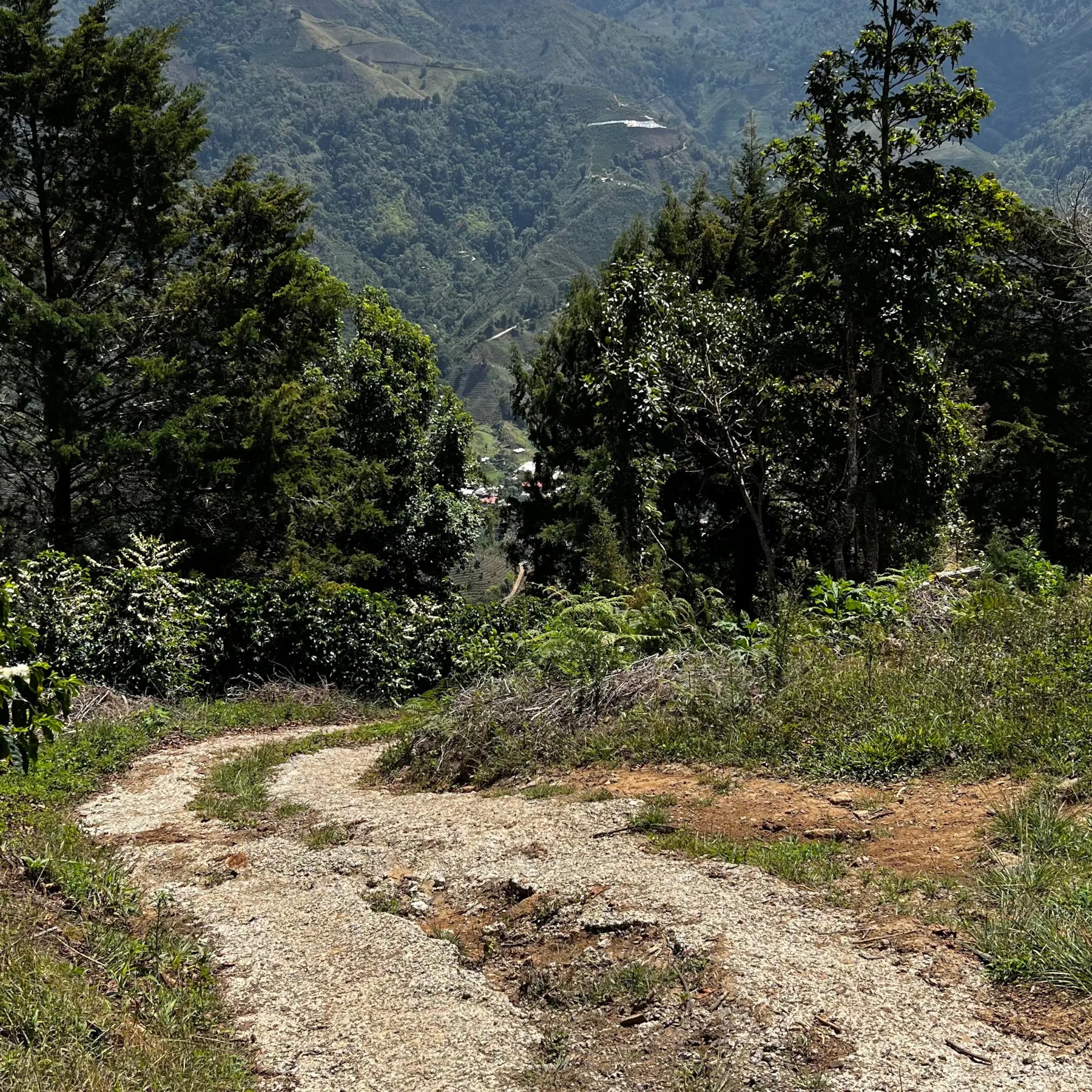 Bergige Landschaft mit Straße