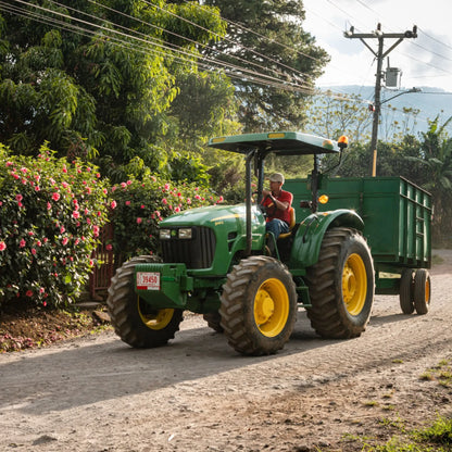 Costa Rica (Carrizal) NEU