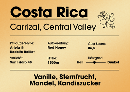 Costa Rica (Carrizal) NEU